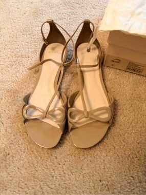 Alexandre Birman Malu Patent Leather Flat Sandals Semolina/Transparent Size 39
